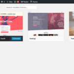 manage-themes-gwangi-youth-wordpress