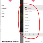 buddypress-menu-gone
