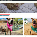news-page-with-menu